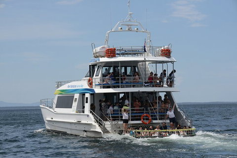 Jervis Bay Boom Netting And Dolphins Tour - Whitsundays Accommodation 12
