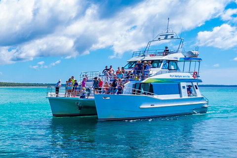 Jervis Bay Boom Netting And Dolphins Tour - Whitsundays Accommodation 3