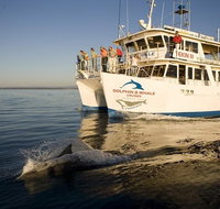 Jervis Bay Dolphin Watch Cruise - Whitsundays Accommodation