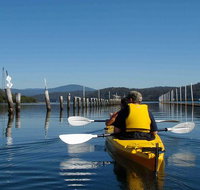 Batemans Bay Oyster Tasting Kayak Tour - Whitsundays Accommodation