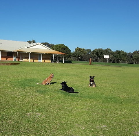 Meet The Animals - Whitsundays Accommodation 3