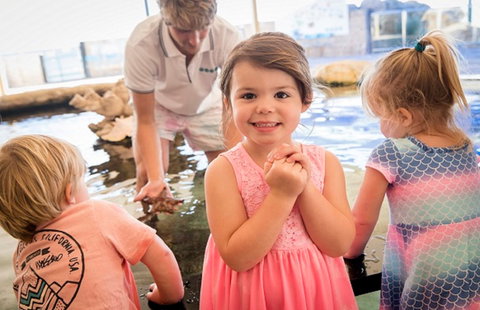 AQWA The Aquarium Of Western Australia - Whitsundays Accommodation 2