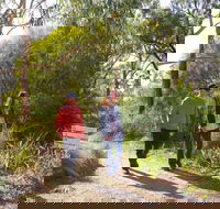 Arthurs Seat Circuit Walk - Whitsundays Accommodation