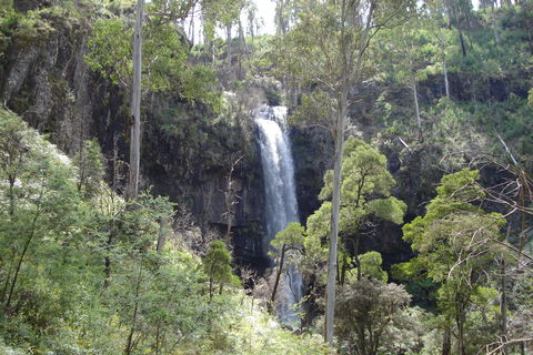 Bindaree Falls - Whitsundays Accommodation 0