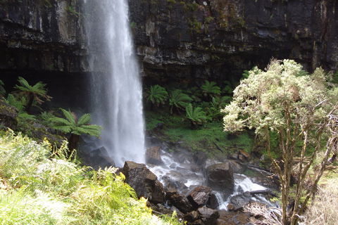 Bindaree Falls - Whitsundays Accommodation 1