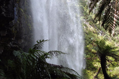 Bindaree Falls - Whitsundays Accommodation 2
