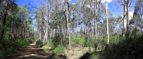 Blue Range Camping And Picnic Area - Whitsundays Accommodation 1