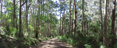 Blue Range Camping And Picnic Area - Whitsundays Accommodation 2