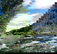 Casino - Whitsundays Accommodation