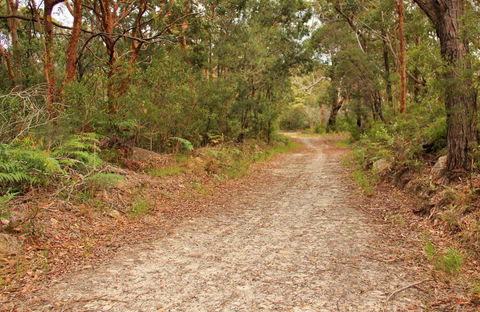 Daleys Point Walking Track - Whitsundays Accommodation 0