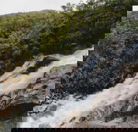 Davies Creek National Park and Dinden National Park - Whitsundays Accommodation