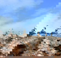 Dirk Hartog Island National Park - Whitsundays Accommodation