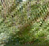 Gap Beach Walking Track - Whitsundays Accommodation