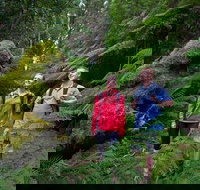 Grand Strzelecki Track - Whitsundays Accommodation