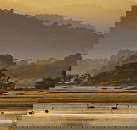 Greens Beach - Whitsundays Accommodation