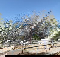 Gregory's Tree Timber Creek - Whitsundays Accommodation