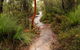 Great North Walk - Brisbane Water National Park - thumb 0