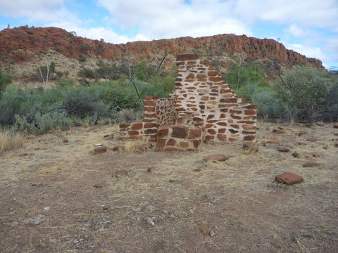 Illamurta Springs Conservation Reserve - Whitsundays Accommodation 1