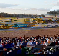 Ipswich Motorsport Precinct - Whitsundays Accommodation
