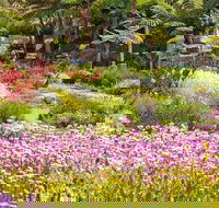 Jurassic Garden AR Experience - Whitsundays Accommodation