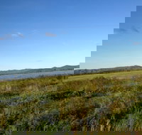 Lakeland - Whitsundays Accommodation