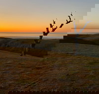 Lessismore Farm Afternoon Farmer - Whitsundays Accommodation