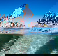 Monkey Mia - Whitsundays Accommodation