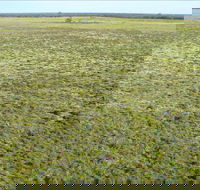 Nilla Yannagalang Billana - Whitsundays Accommodation