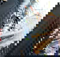 Oh JoJo Boutique - Whitsundays Accommodation