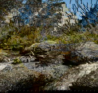 Pallaibo walking track - Whitsundays Accommodation