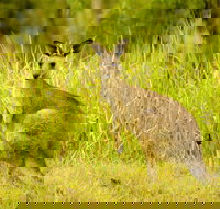 Perseverance - Whitsundays Accommodation