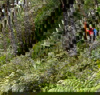 Pipers lookout - Whitsundays Accommodation