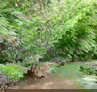 Pirianda Gardens - Whitsundays Accommodation