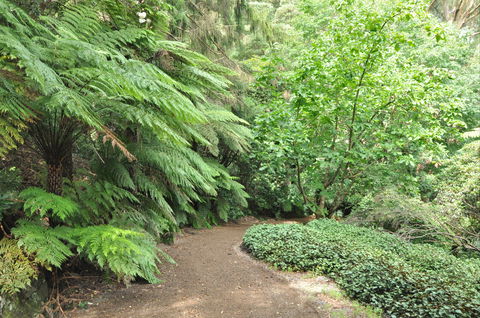 Pirianda Gardens - Whitsundays Accommodation 0