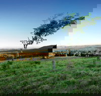 Ravensbourne National Park - Whitsundays Accommodation