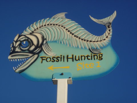 Richmond Fossil Hunting Sites - Whitsundays Accommodation 1