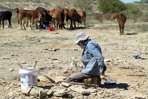 Richmond Fossil Hunting Sites - Whitsundays Accommodation 2
