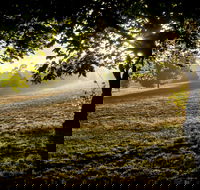 Ruffey Lake Park - Whitsundays Accommodation