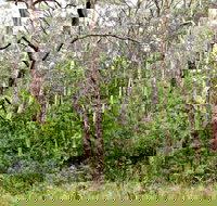 Scutts Hut Trail - Whitsundays Accommodation