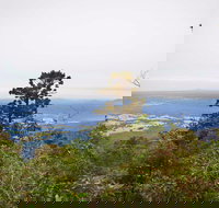 Slingsbys Trail and Syndicate Ridge Track - Whitsundays Accommodation