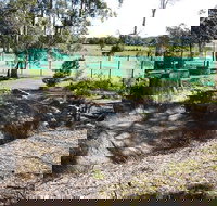 Tactical Paintball Games - Whitsundays Accommodation