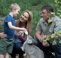 Tamworth Marsupial Park and Adventure Playground - Whitsundays Accommodation