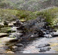 Thredbo River Track - Whitsundays Accommodation