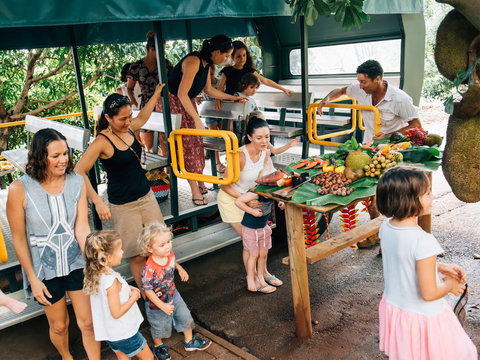 Tropical Fruit World - Whitsundays Accommodation 2