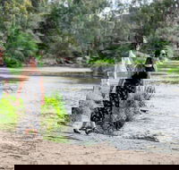 Warrandyte River Reserve - Whitsundays Accommodation