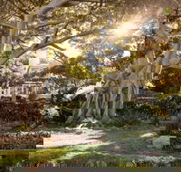 Wendy Whiteley's Secret Garden - Whitsundays Accommodation