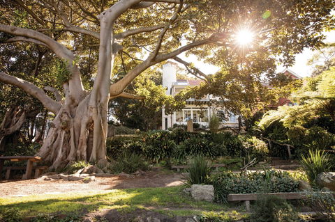 Wendy Whiteley's Secret Garden - Whitsundays Accommodation 0