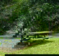 Williams River picnic area - Whitsundays Accommodation