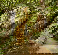 William Ricketts Sanctuary - Whitsundays Accommodation