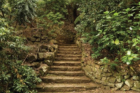 William Ricketts Sanctuary - Whitsundays Accommodation 1